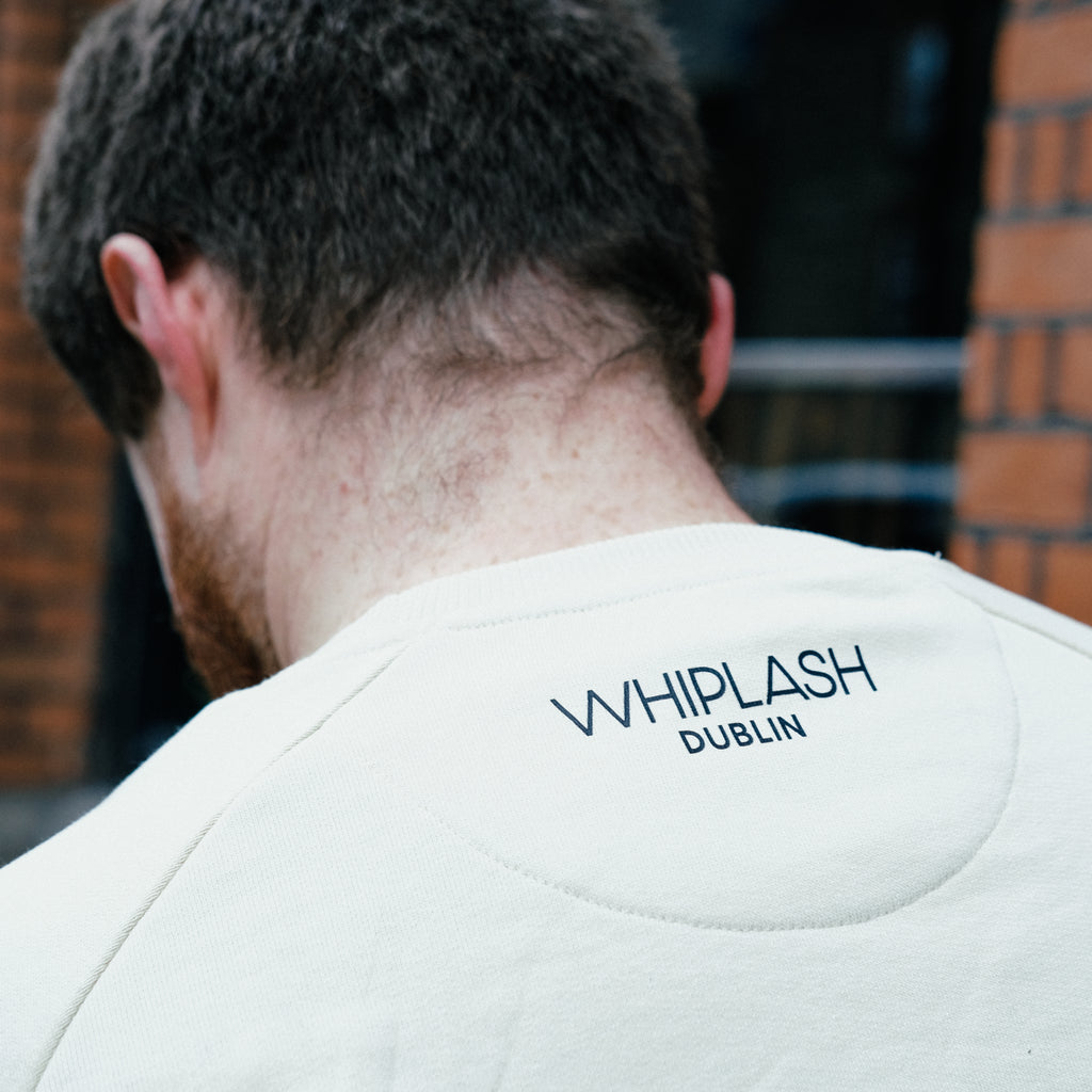 Whiplash Embroidered Sweater - Beige